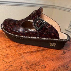 ALEGRIA TORTOISE CLOGS